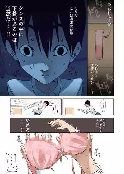 僕だけの咲姉だったのに…