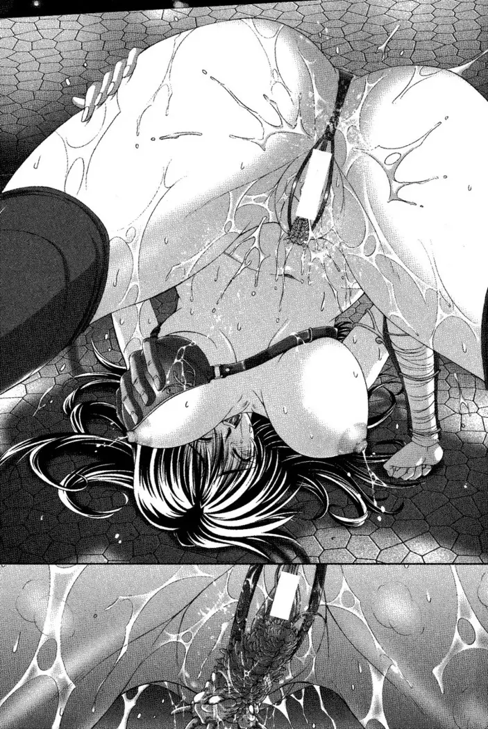 Circus～聖杯の魔法使い