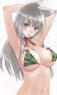 (C86) [T2 ART WORKS (Tony)] Tony's Kaizou note