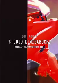 (C68) [Studio Kimigabuchi (Kimimaru)] RE-TAKE 3 (Neon Genesis Evangelion) [English]