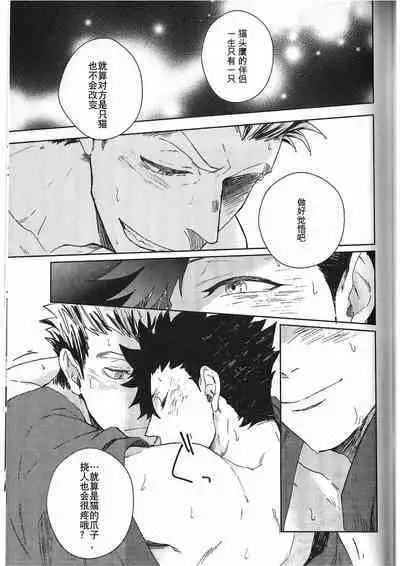 Ake no Fukuro Kouhen | 破晓之枭后篇