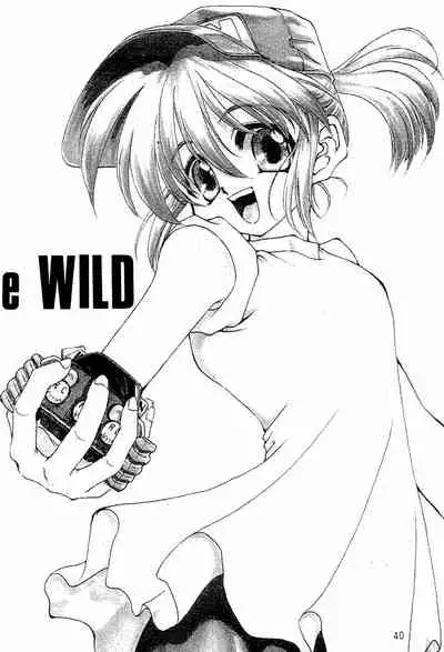 (C51) [RAINBOW FORCE (Minakami Hiroki)] Be WILD (Bakusou Kyoudai Let's & Go!!)