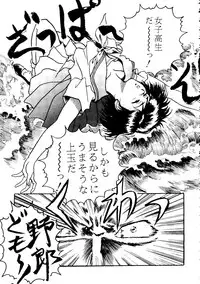 [doujinshi anthology] [Kawarajima Kou] The Henreikai (Sailor Moon, Evangelion)