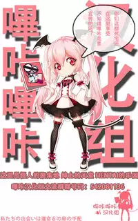 (C88) [INS-mode (Amanagi Seiji)] Risou no Imouto [Chinese] [嗶咔嗶咔漢化組]