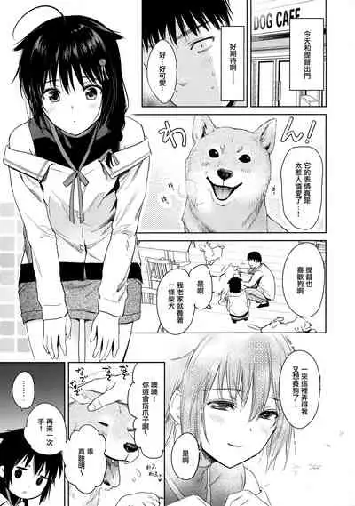 Shigure honey dog