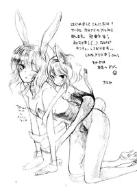 (SC39) [Uminari (Narumi)] Ali Pro Sono 1 (Touhou Project)