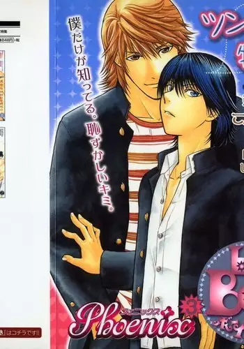 b-BOY Phoenix Vol.3 Tsundere Tokushuu