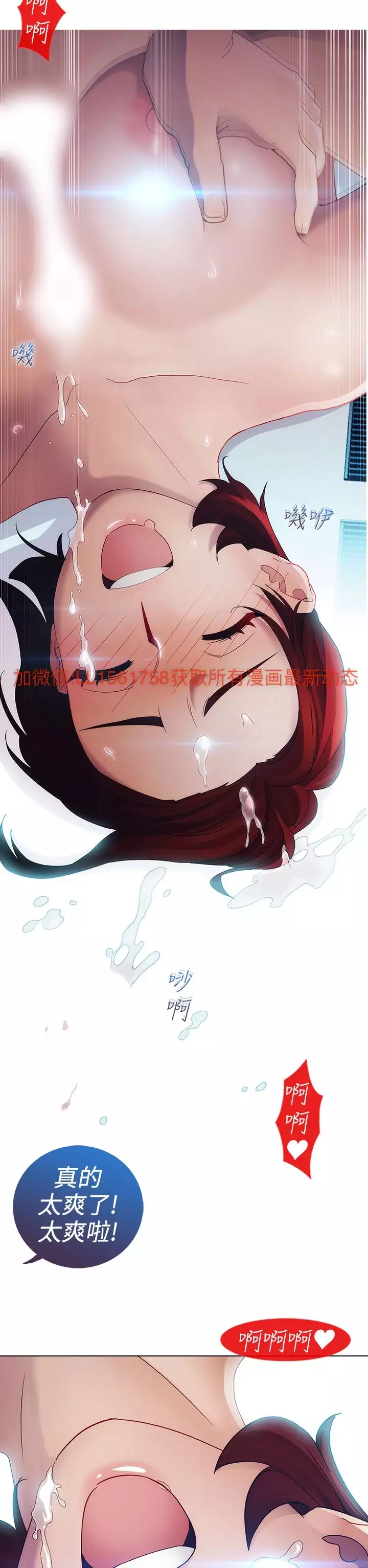 Lady Garden 淑女花苑 第一季