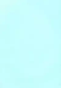 (SC15) [KuruGuru DNA (Various)] Zenda Shiro no Toriko (Digimon Adventure 02)