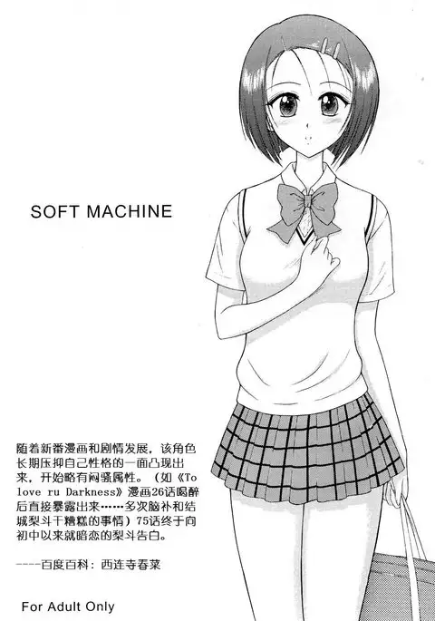 SOFT MACHINE