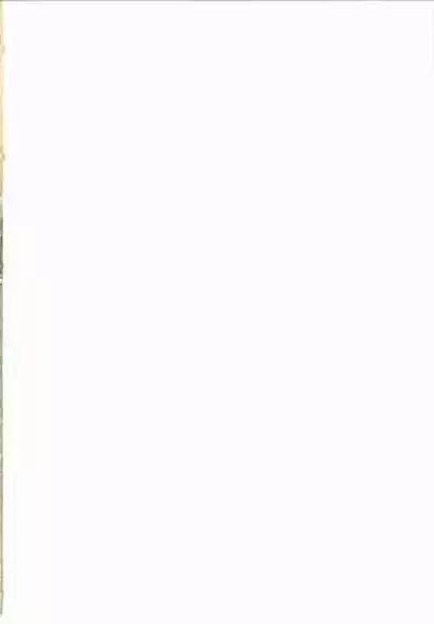 (Reitaisai 11) [RTD (Mizuga)] Chikurin no Tooboe (Touhou Project) [Chinese] [手机个人汉化]