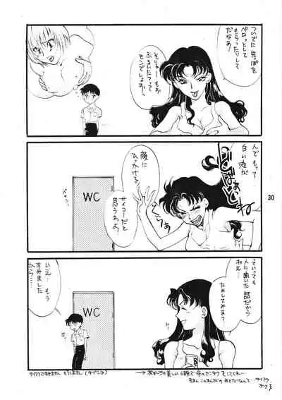 Seiteki Gengo Kajou Hannou Shoukougun