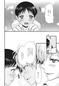 (C79) [Raytrec (Fuyunagi Reku)] Service Works (Neon Genesis Evangelion)