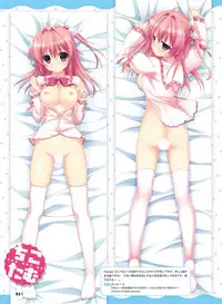 電撃おとなの抱き枕王 Vol.01