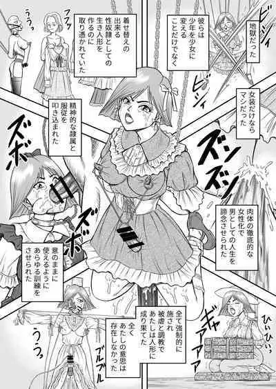 OwnWillボクがアタシになったとき 総集編