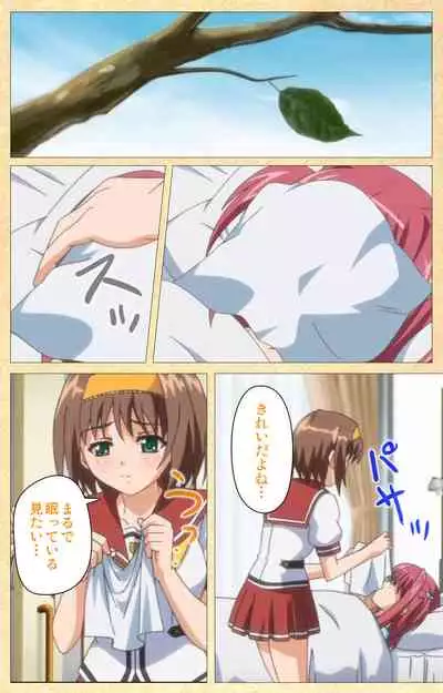 Fukubiki! Triangle Kanzenban