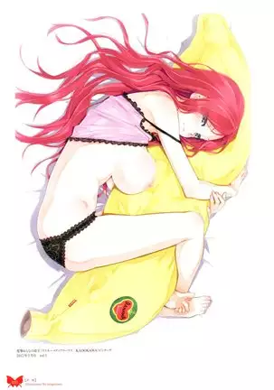 八宝備仁画集 紅蝶（ほてり）