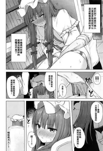 (Meikasai 14) [Tekomenchi (Techi)] Patchouli Knowledge Kaihatsu Kiroku (Touhou Project) [Chinese] [個人漢化]