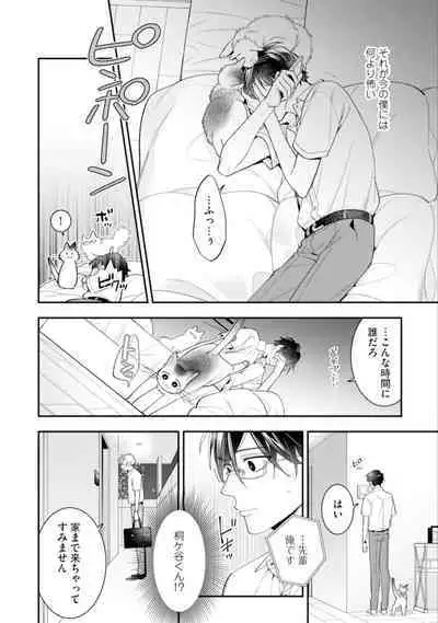 High Spec Danshi ni Natsukareteimasu