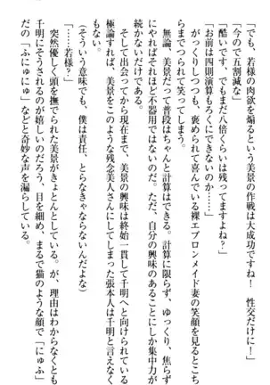 年上メイドの新婚日記