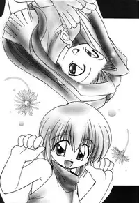 (C57) [Milky Way (Hoshikawa Kirara)] MILKYWAY (Digimon Adventure)