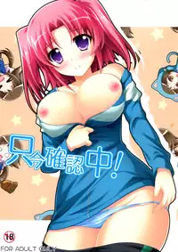 (C87) [KOJI2 (Tsuda Akira)] Tadaima Kakunin Chuu! (Mikakunin de Shinkoukei) [Chinese] [脸肿汉化组]