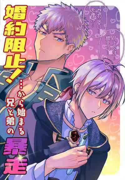 [三の月階段 (吉村さのつき)] 婚約阻止!…から始まる兄と弟の暴走