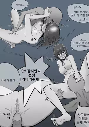시로 사쿠라 떡