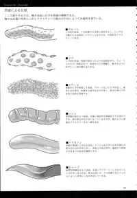 (C89) [SHIS (Z-ton)] A Beautiful Greed Z-ton Jingai Soushuuhen