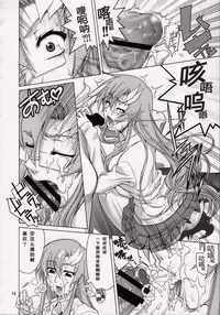(C74) [GOLD RUSH (Suzuki Address)] A Diva of Healing V (Gundam SEED DESTINY) [Chinese] [graviton个人汉化]