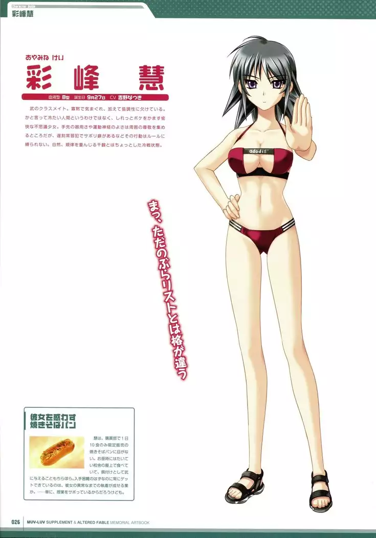 Muv-Luv Supplement & Altered Fable Memorial Art Book