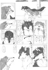 (Kansai! Kemoket 2) [KTQ48 (Various)] KTQ 5