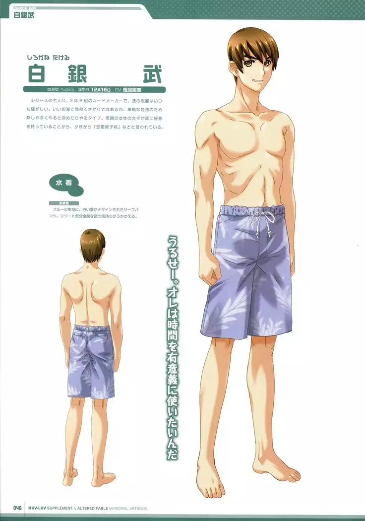 Muv-Luv Supplement & Altered Fable Memorial Art Book