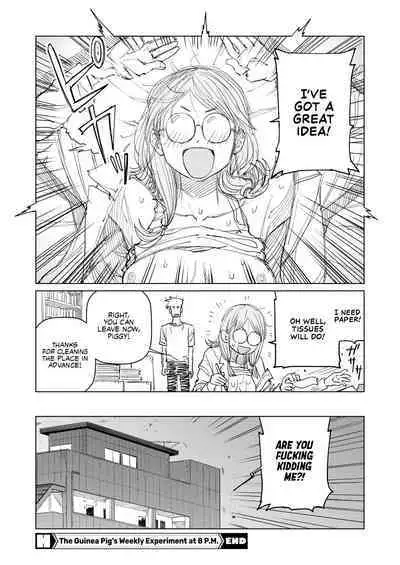 The Guinea Pig's Weekly Experiment at 8 P.M.