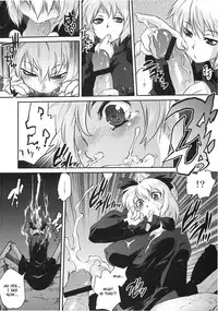 (C78) [Rapid Rabbit (Tomotsuka Haruomi)] Byoujo no Sho (Touhou Project) [English] [CGRascal]