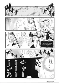 (C74) [Shoujo Zukin (Hatomugi Munmun)] Marecollect (Touhou Project)