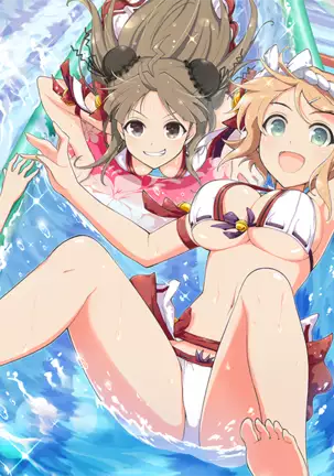 Master Ninja Senran Kagura NEW LINK - Swimsuits