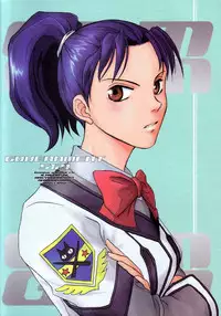 (C61) [AREYOUHAPPY?, APOCRIPHA (Asai Ichiko, Hiyama Akira)] GOVERNMENT5121 (Gunparade March)