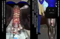 [Nikubenki Seisakusho] Nyotaika Uketsukejou Takumi Ryoujoku no Shougai [Chinese] [cii09渣翻]