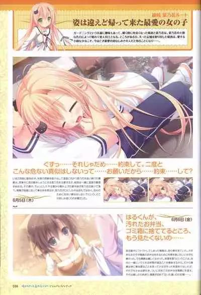 Hare Nochi Kitto Nanohana Biyori Visual Fanbook