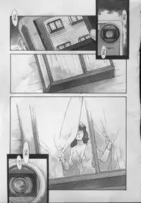 [Fujii Akiko, Akiyama Michio] OO II Junketsu no Hansayou - "OO" II Pure Reaction