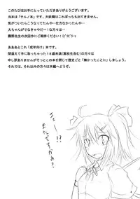 (Reitaisai 8) [Yume no Kage] Lunchi Pack (Touhou Project)