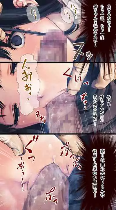 Komarigao na Bijin no Ane o Osotte Yaritai Houdai Yatta Hanashi