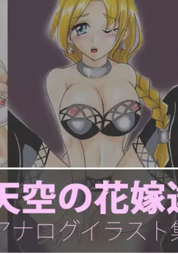 Heavenly Brides Illustration Collection