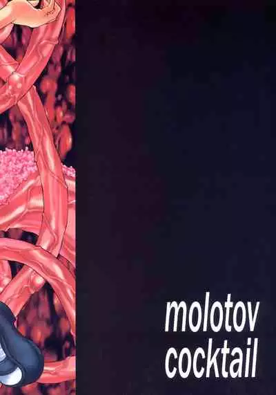 Kagami no Naka no CHERRIES