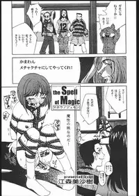 [PINK CAT'S GARDEN] SEXCEED ver.8.0