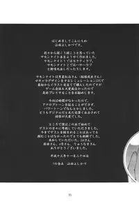 (C61) [Y no Shokutaku (Hamada Yoshikadu)] Nengemishou (Summon Night 2)