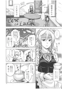 (C81) [Pigeon Blood (Asou Shin)] LOVE OR LUST (Touhou Project)