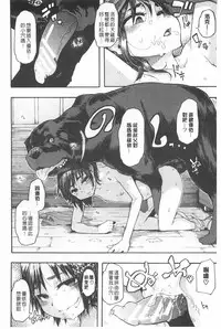 [ShindoL] Junai Irregulars | 純愛不完美情-人 [Chinese]