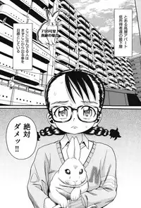 [Hatch] Usagi no Koe (First Half) [Digital]